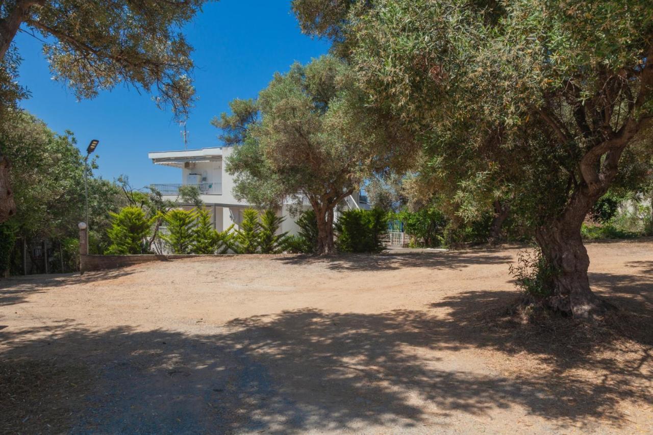 Althea Suites By Rentalspro Services - Nea Moudania Halkidiki Eksteriør billede