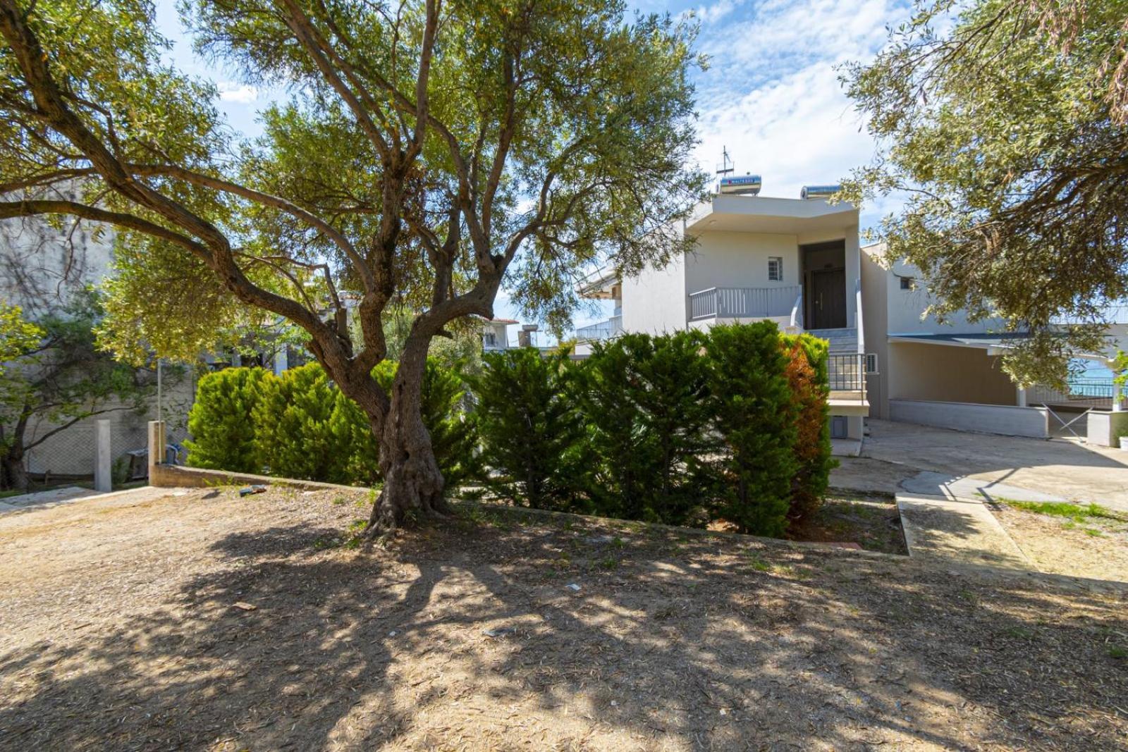 Althea Suites By Rentalspro Services - Nea Moudania Halkidiki Eksteriør billede